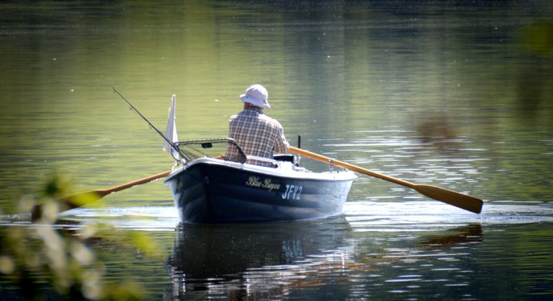 Rowing is one of the best cardiovascular exercises for the elderly