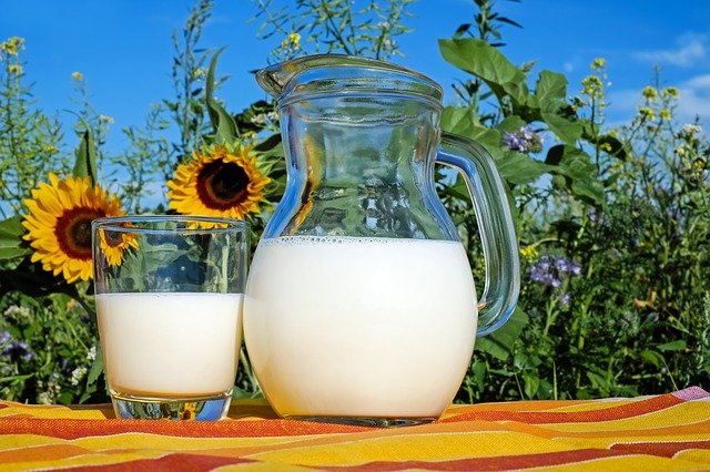 a glass and a pitcher of milk