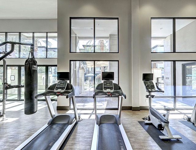 treadmills on a gym