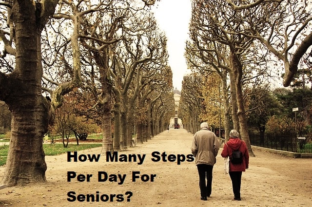 Two seniors walking in the park with the title How Many Steps Per Day For Seniors
